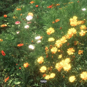 新一代soho小狼导航
