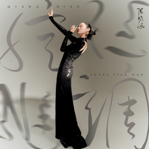 新一代soho小狼导航
