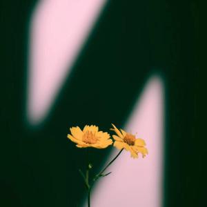 新一代soho小狼导航
