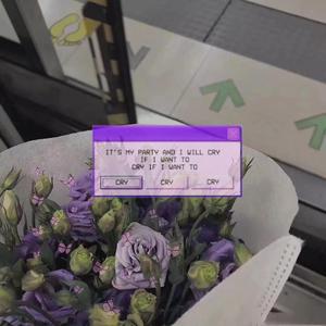 新一代soho小狼导航
